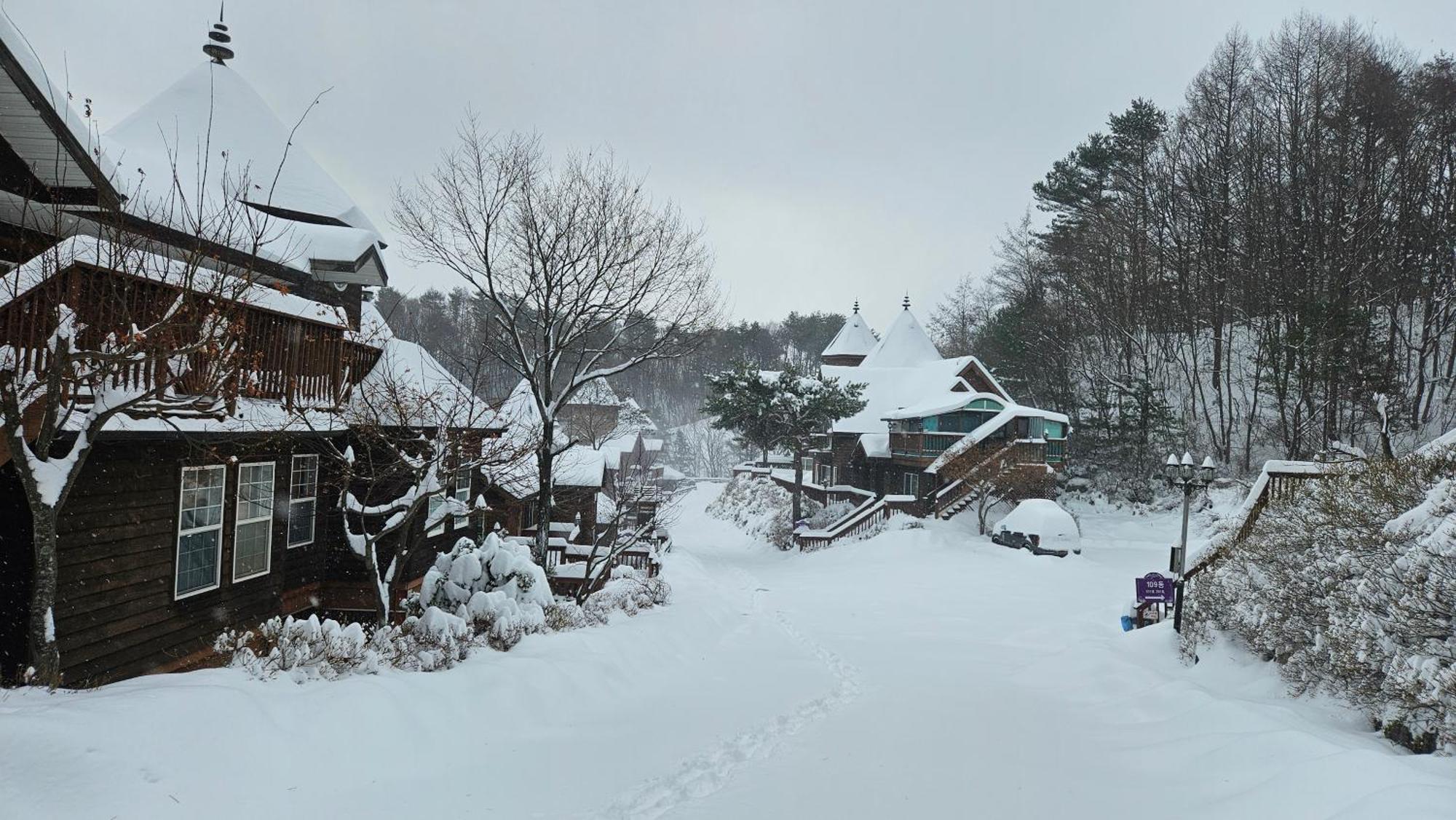 Elf Resort Hotel Pyeongchang Exterior foto